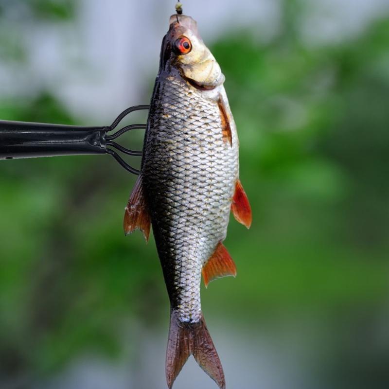 Fishing Rod Tip Replacement - R6FE شوكات الصيد الربيع الصلب الصيد